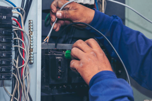 Best Electric Panel Repair  in Villa Ridge, MO